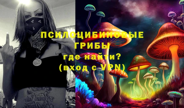 гидра Беломорск