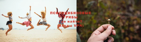 метадон Белокуриха